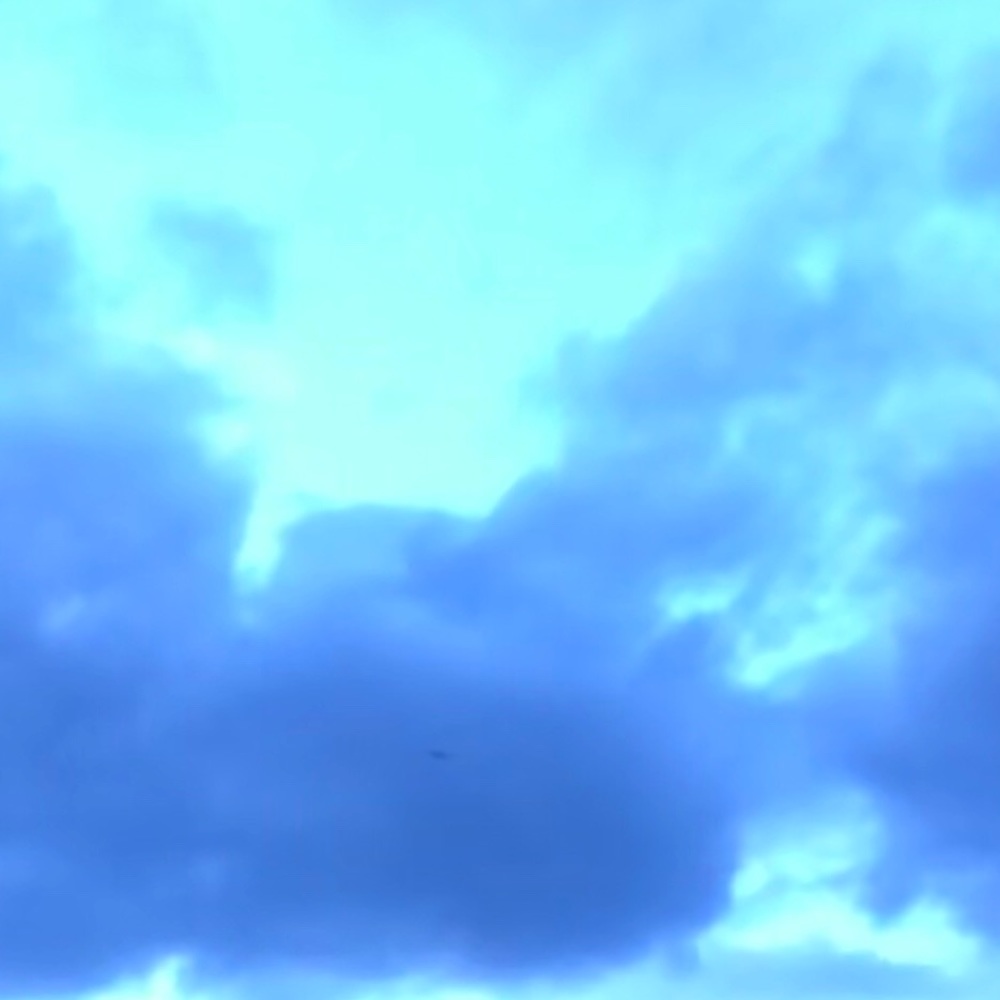 Meet your Posher, Lizzie